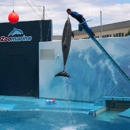 Centrally Located With Pool View